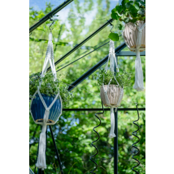 HALLS szklarnia ogrodowa ICON 8 (11,2 m2; 2,55 x 4,41 m) czarna, szkło hartowane + baza